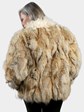 Woman's Sectioned Coyote Jacket with Tibetan Lamb Trim