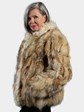 Woman's Sectioned Coyote Jacket with Tibetan Lamb Trim