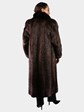 Woman's Natural Chestnut Long Hair Beaver Fur Coat with Fox Trim