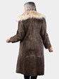 Woman's Vintage Natural Nutria Fur Coat with Canadian Lynx Collar